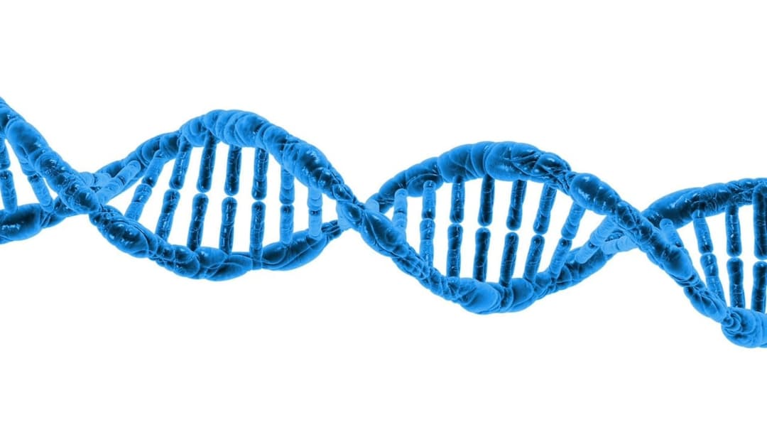 Can a DNA Test Prove You Are Related to a President?