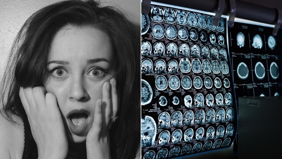 Why Your Brain Secretly Loves being scared? The Surprising science of Fear