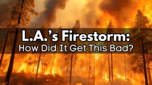 California-Wildfires-The-Devastating-Story-of-LAs-Worst-Fire-Season.jpg