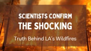 LA-Is-Burning-Scientists-Warn-of-More-Devastating-Wildfires.jpg