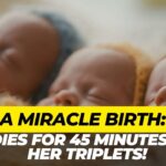 Most Viral Today